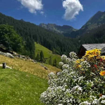 Piccola Bomboniera Gaby
